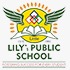 Lily's public school